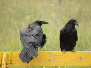 at the transfer station