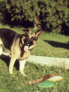 How much of a hint do you need?  Let's play!