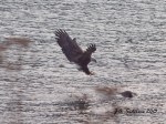landing