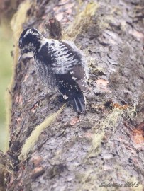 Taking time to check me out