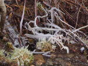 early spring ice sculpture