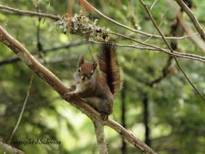 waiting for that opportunity