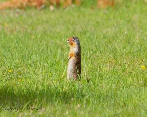 keeping an eye on the situation