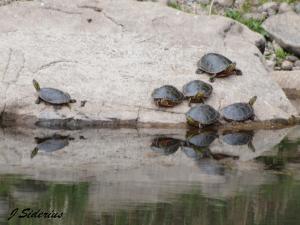 Best place to enjoy the sun