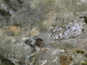 Looking for possibilities