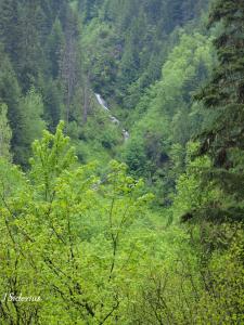 Up the road in the mountains in spring