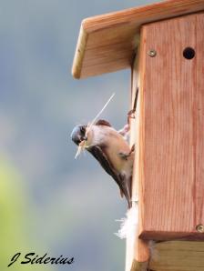 Nothing is ever easy