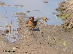 So much to do and so little time